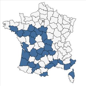 Répartition de Lupinus angustifolius subsp. reticulatus (Desv.) Arcang. en France