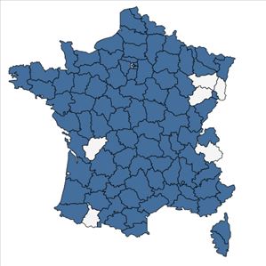 Répartition de Conium maculatum L. en France