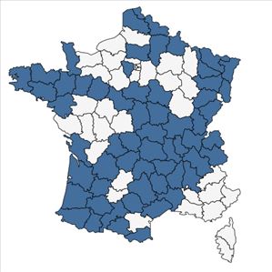 Répartition de Lycopodiella inundata (L.) Holub en France