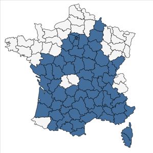 Répartition de Medicago orbicularis (L.) Bartal. en France