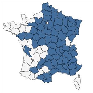 Répartition de Medicago sativa subsp. falcata (L.) Arcang. en France