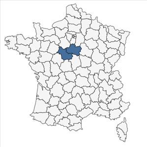 Répartition de Ajuga x hampeana A.Braun & Vatke en France