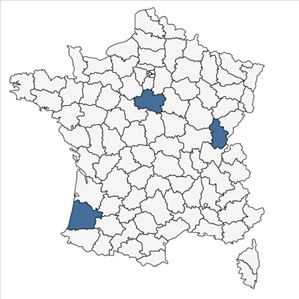 Répartition de Miscanthus x giganteus J.M.Greef & Deuter ex Hodk. & Renvoize en France