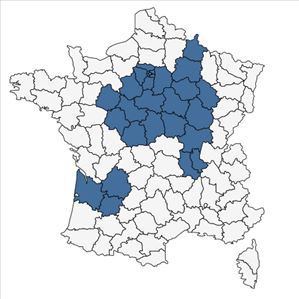 Répartition de Geranium pyrenaicum Burm.f. subsp. pyrenaicum en France