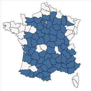 Répartition de Coronilla minima L. en France