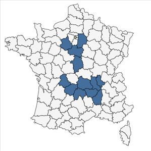 Répartition de Poa bulbosa L. subsp. bulbosa var. bulbosa en France