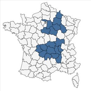 Répartition de Valerianella locusta (L.) Laterr. f. locusta  en France