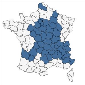 Répartition de Lolium arundinaceum (Schreb.) Darbysh. subsp. arundinaceum en France