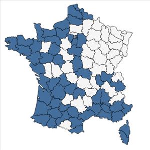 Répartition de Cortaderia selloana (Schult. & Schult.f.) Asch. & Graebn. en France