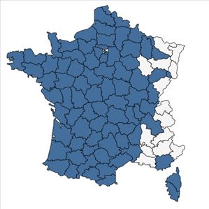 Répartition de Montia arvensis Wallr. en France