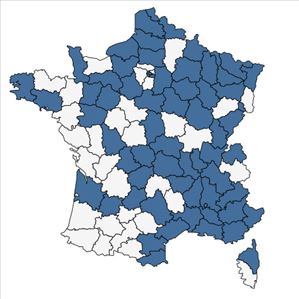 Répartition de Cota tinctoria (L.) J.Gay ex Guss. en France