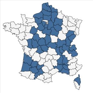 Répartition de Najas marina L. subsp. marina en France