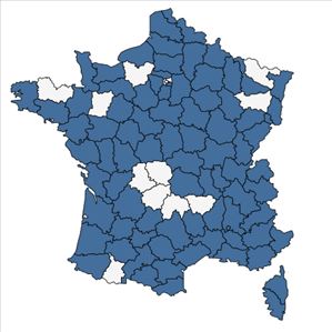 Répartition de Teucrium scordium L. en France