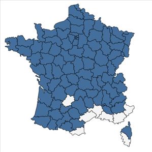 Répartition de Crataegus laevigata (Poir.) DC. en France