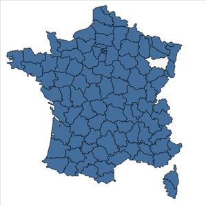 Répartition de Odontites vernus subsp. serotinus (Coss. & Germ.) Corb. en France