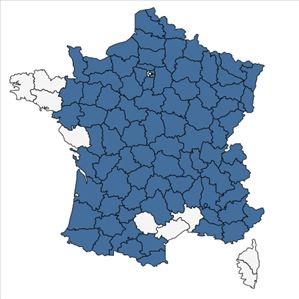 Répartition de Crepis biennis L. en France
