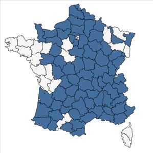 Répartition de Ononis spinosa L. subsp. spinosa en France