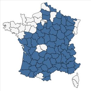 Répartition de Crepis pulchra L. en France