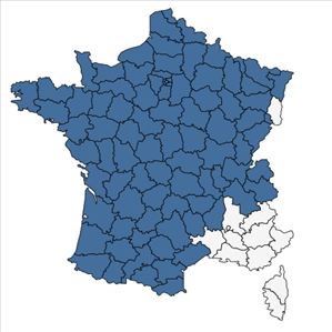 Répartition de Agrimonia procera Wallr. en France
