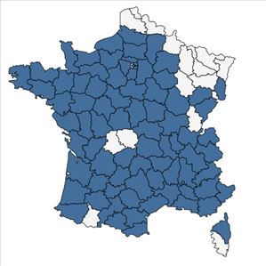 Répartition de Crepis sancta (L.) Bornm. en France