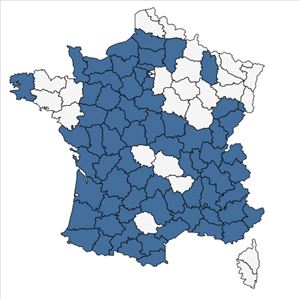 Répartition de Orobanche gracilis Sm. en France