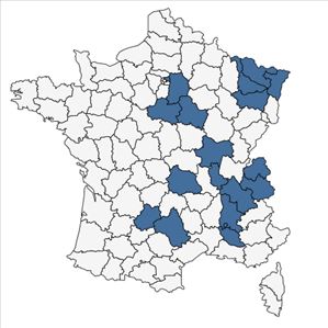 Répartition de Orobanche lutea Baumg. en France