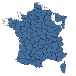 Répartition de Crepis setosa Haller f. en France