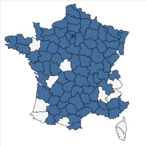 Répartition de Papaver somniferum L. en France