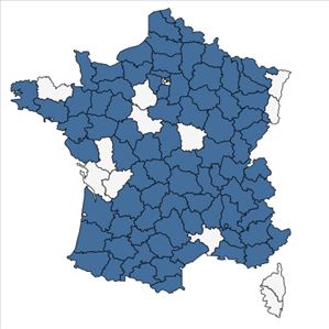 Répartition de Pastinaca sativa subsp. urens (Req. ex Godr.) Celak. en France