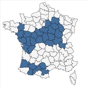 Répartition de Crypsis alopecuroides (Piller & Mitterp.) Schrad. en France