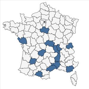 Répartition de Cucurbita pepo L. en France