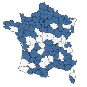 Répartition de Phalaris canariensis L. en France