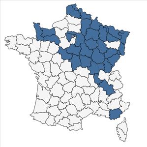 Répartition de Pilosella caespitosa (Dumort.) P.D.Sell & C.West en France