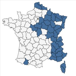 Répartition de Pilosella piloselloides (Vill.) Soják en France