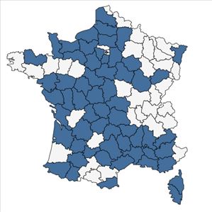 Répartition de Pinus nigra subsp. laricio Maire en France