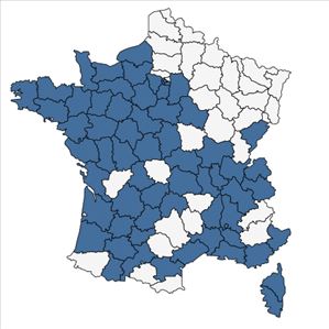 Répartition de Cyclamen hederifolium Aiton en France