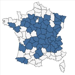 Répartition de Pinus strobus L. en France