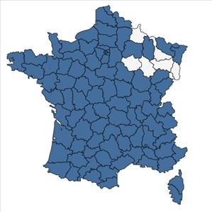 Répartition de Cynodon dactylon (L.) Pers. en France