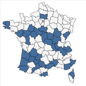 Répartition de Cyperus esculentus L. en France