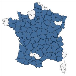 Répartition de Populus x canadensis Moench en France