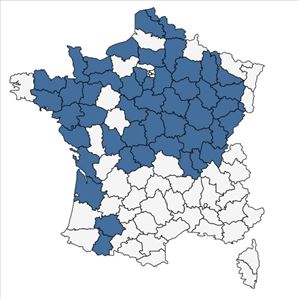 Répartition de Potamogeton obtusifolius Mert. & W.D.J.Koch en France