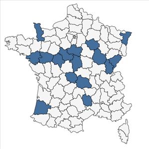 Répartition de Potamogeton x zizii W.D.J.Koch ex Roth en France