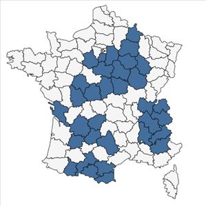 Répartition de Cytisus lotoides Pourr. en France