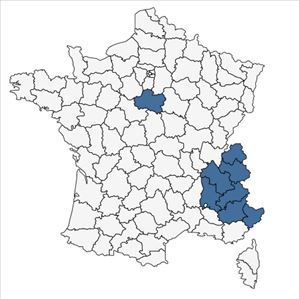Répartition de Potentilla grandiflora L. en France