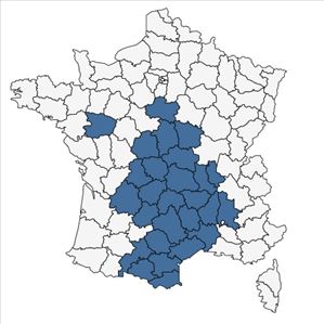 Répartition de Cytisus oromediterraneus Rivas Mart., T.E.Díaz, Fern.Prieto, Loidi & Penas en France