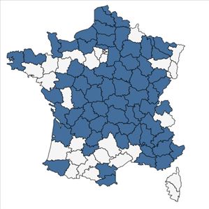 Répartition de Prunus domestica subsp. insititia (L.) Bonnier & Layens en France