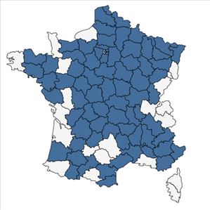 Répartition de Prunus x fruticans Weihe en France