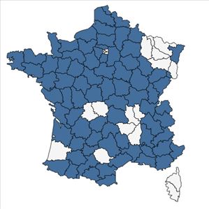 Répartition de Dactylorhiza incarnata (L.) Soó subsp. incarnata en France