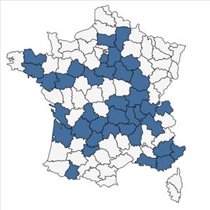 Répartition de Raphanus sativus L. en France