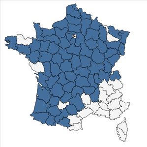 Répartition de Dactylorhiza maculata (L.) Soó subsp. maculata en France